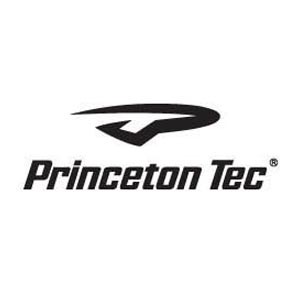 프린스톤텍(PRINCETON TEC)